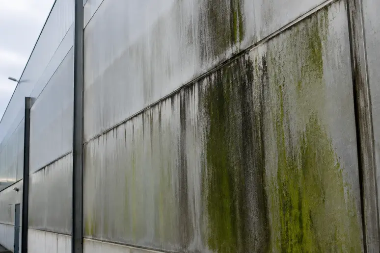 Traces noires de pollution et mousse installées sur les panneaux d un bardage métallique